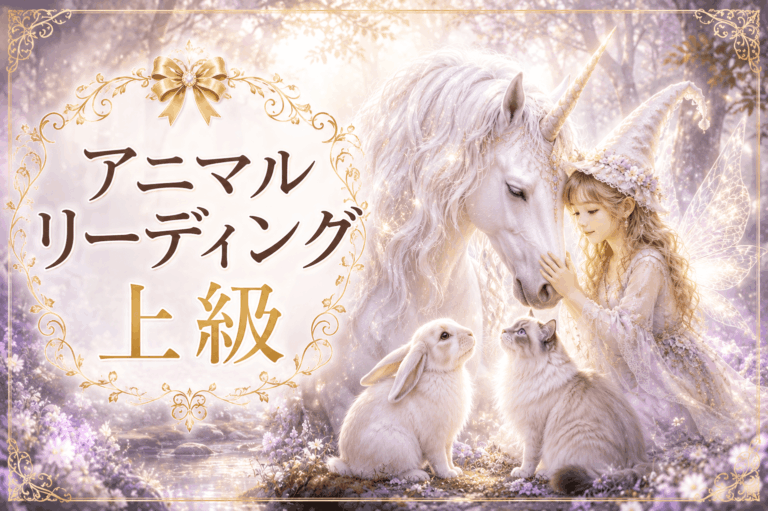 ⑦ アニマルリーディング上級